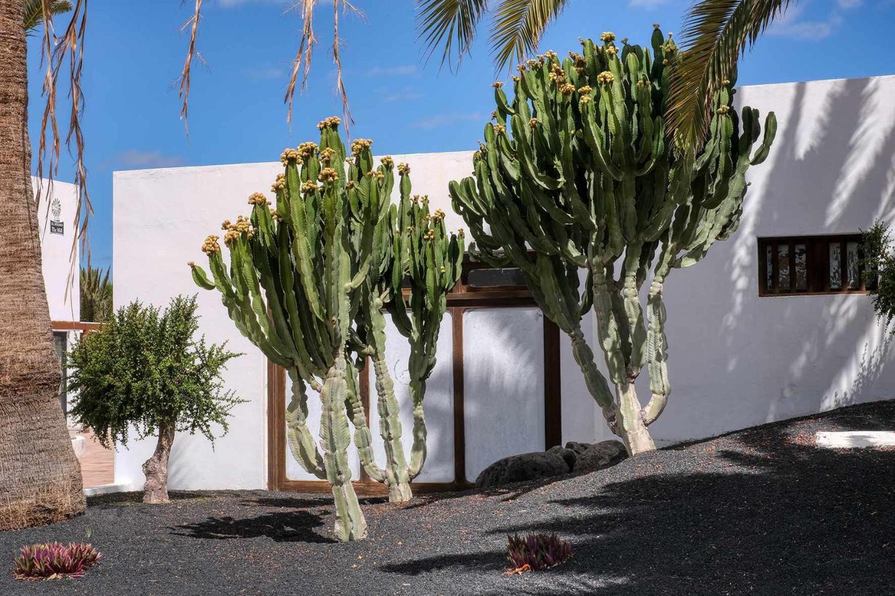 קוסטה טגוויסה Los Molinos Luxury Y Relax מראה חיצוני תמונה